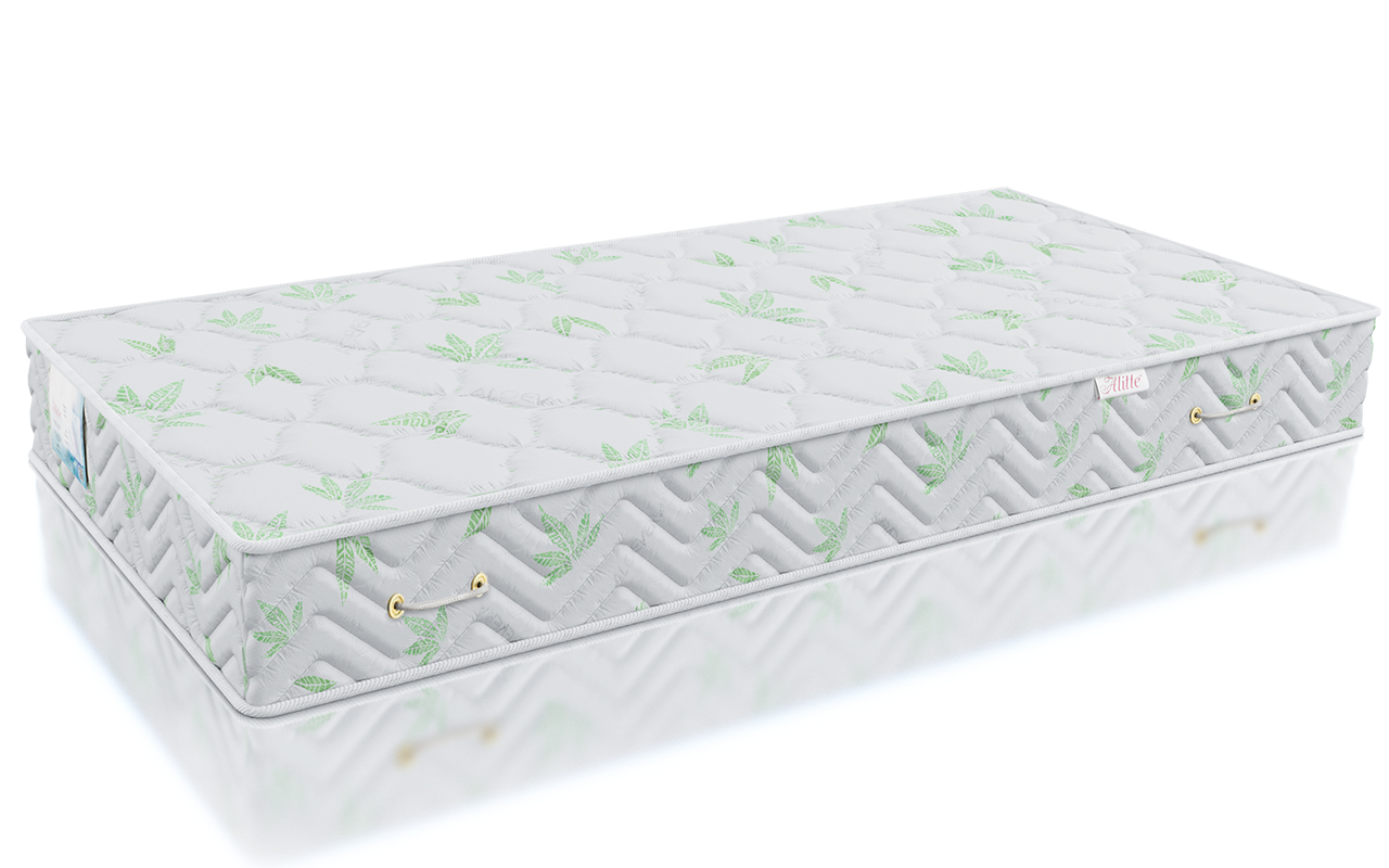 Alitte Classicus Rembrandt TFK MH-25-K фото 3