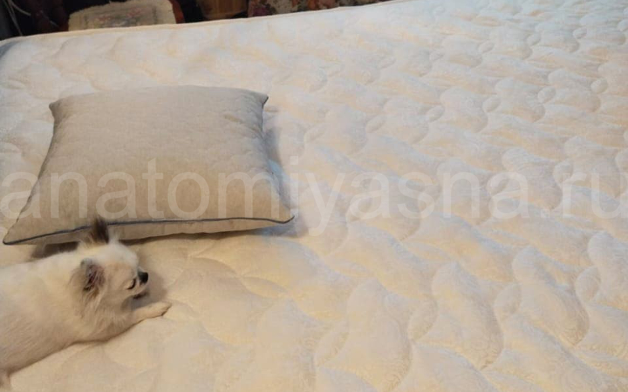 отзыв о Матрас Lonax Ассорти Memory Cocos S1000 фото 2